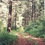 Squillchuck State Park