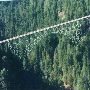 Skokomish River Bridge