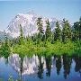 WA Beauty Shots