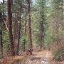 Buck Quarter Lake