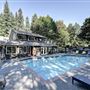 Elevation Apartments