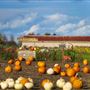 Rutledge Family Farm