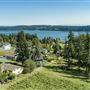 Island home with vines and views
