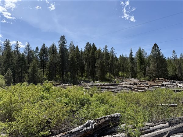 Webley Lumber