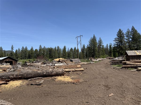 Webley Lumber