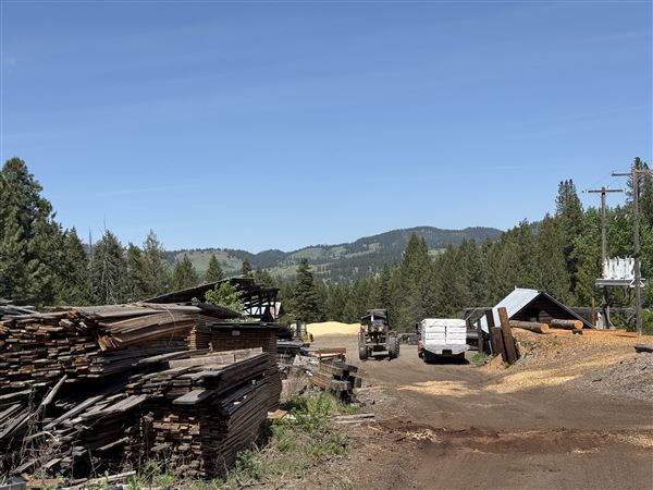 Webley Lumber
