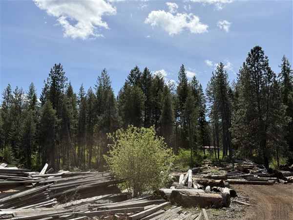 Webley Lumber