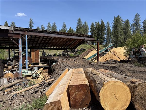 Webley Lumber