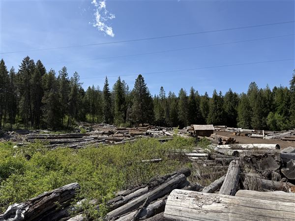 Webley Lumber