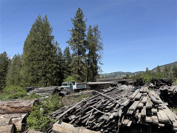 Webley Lumber