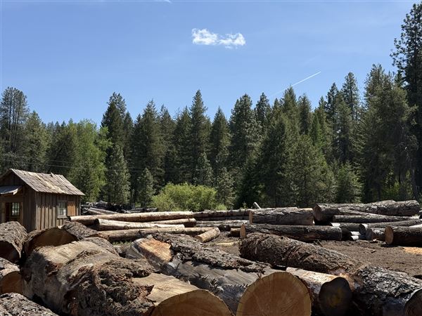Webley Lumber