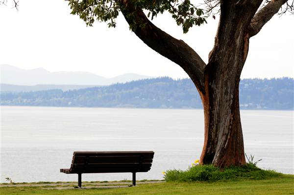 City of Shoreline - Puget Sound Views (8/7/2012)