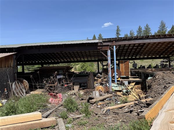 Webley Lumber