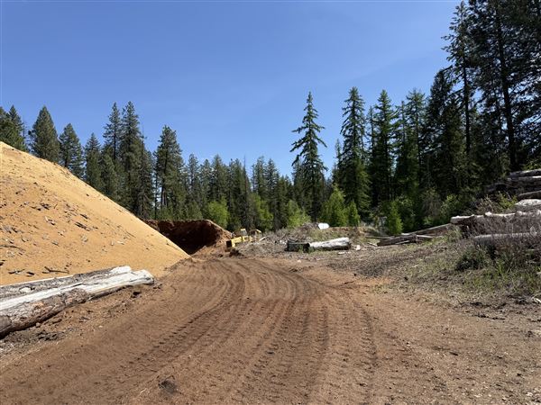 Webley Lumber