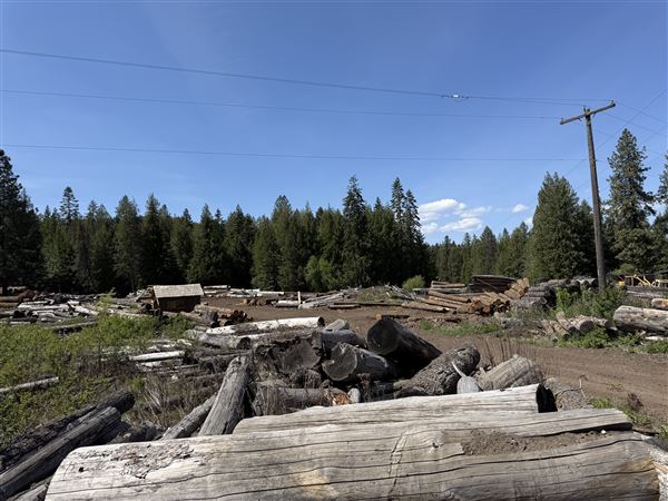 Webley Lumber