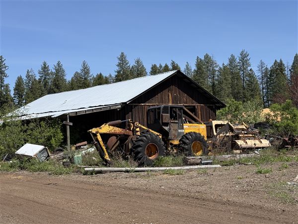 Webley Lumber