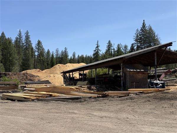 Webley Lumber