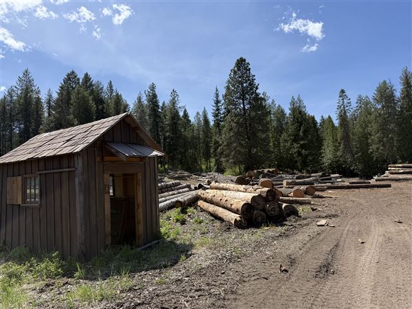Webley Lumber