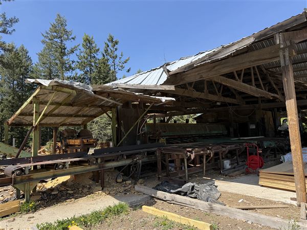 Webley Lumber