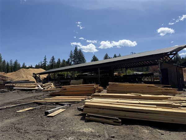 Webley Lumber