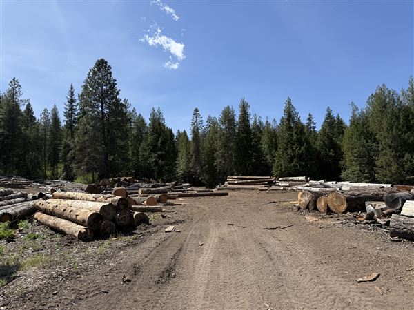 Webley Lumber