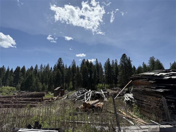 Webley Lumber