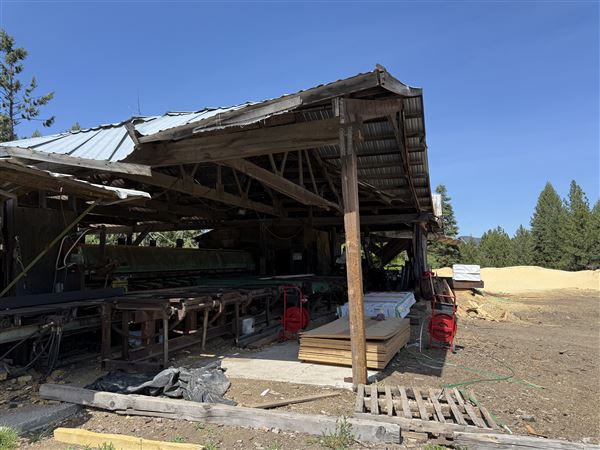 Webley Lumber