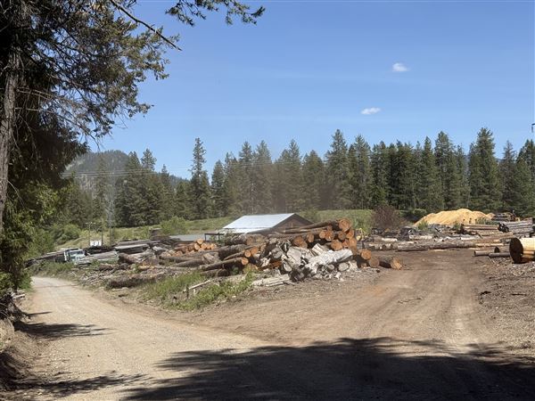 Webley Lumber
