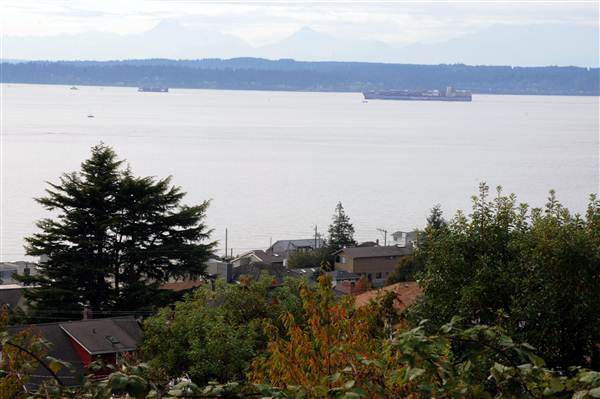 City of Shoreline - Shoreline Neighborhood (8/7/2012)