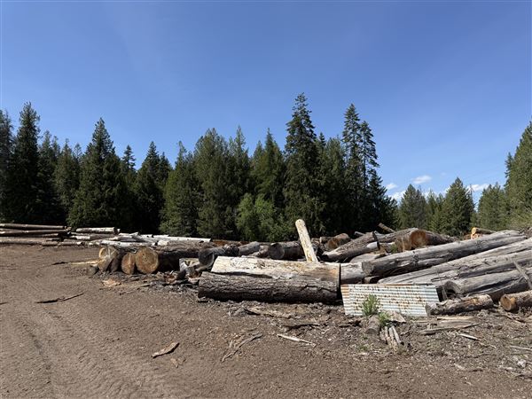 Webley Lumber