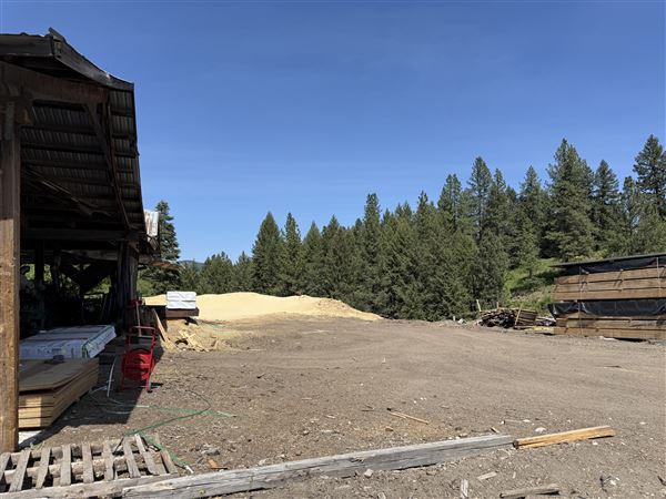 Webley Lumber