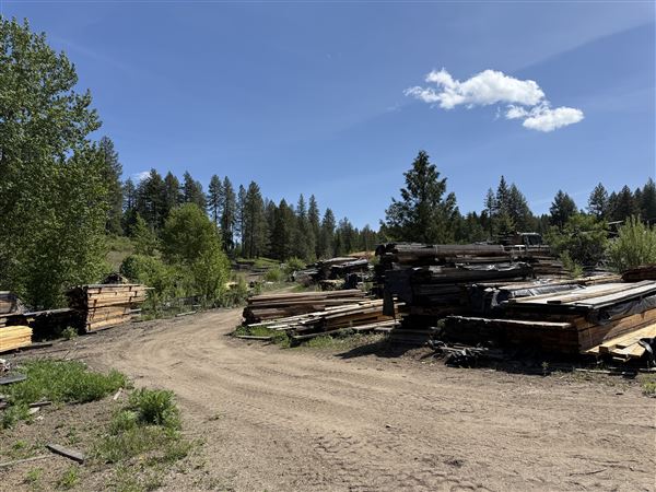 Webley Lumber