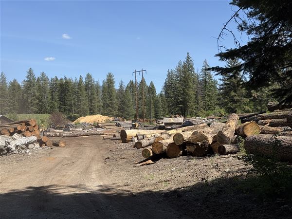 Webley Lumber