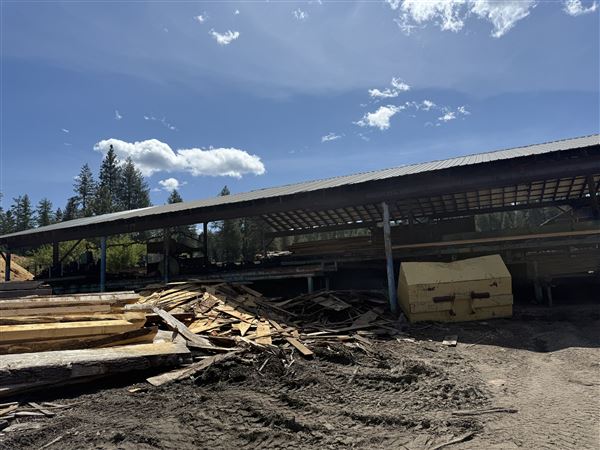 Webley Lumber