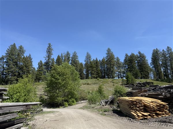 Webley Lumber