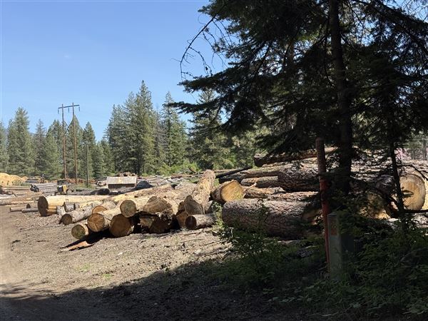 Webley Lumber