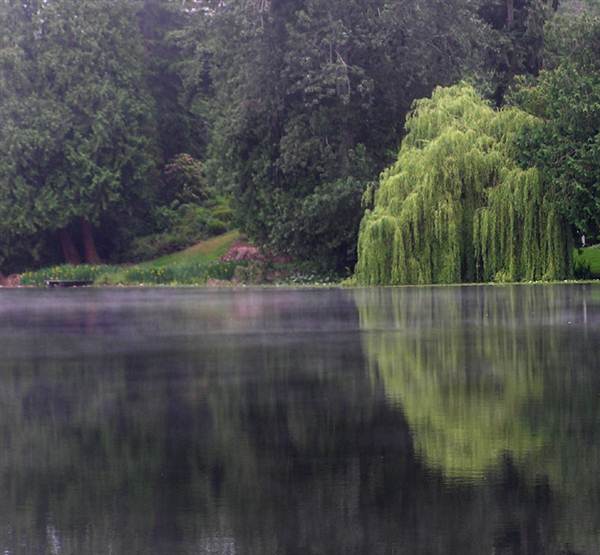 City of Shoreline - Echo Lake (8/7/2012 - Credits: Tom Downer)