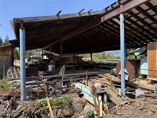 Webley Lumber