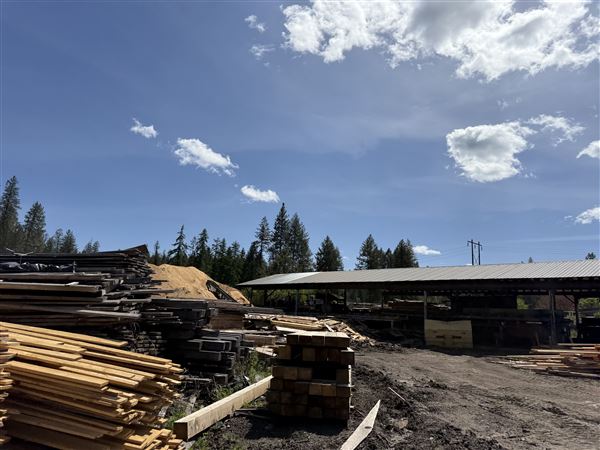 Webley Lumber