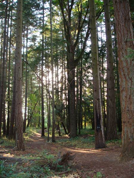 City of Shoreline - South Woods Park (8/7/2012)