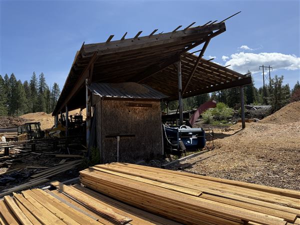 Webley Lumber