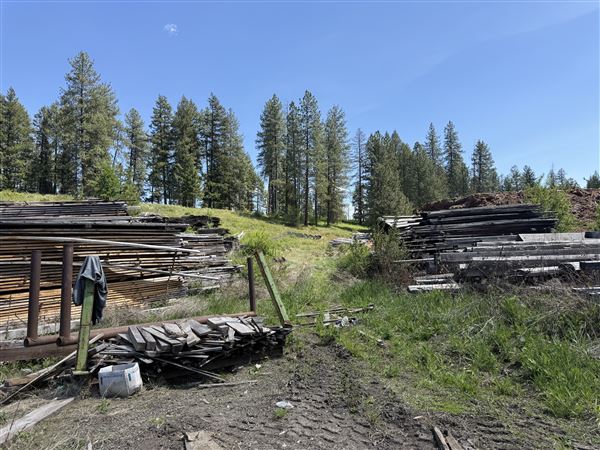 Webley Lumber