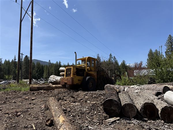 Webley Lumber