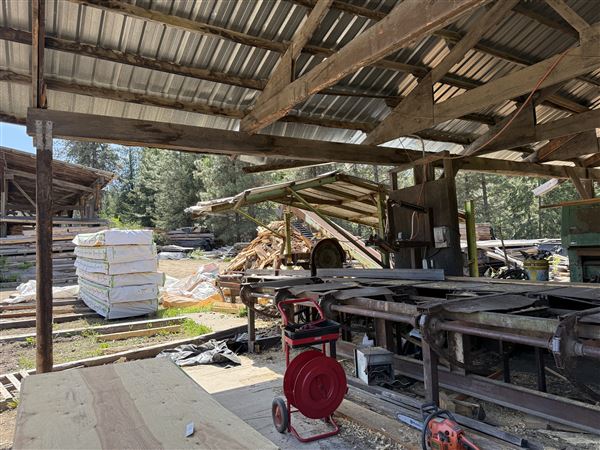 Webley Lumber