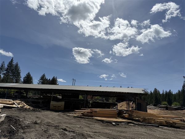 Webley Lumber