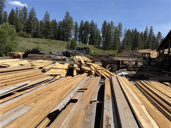 Webley Lumber