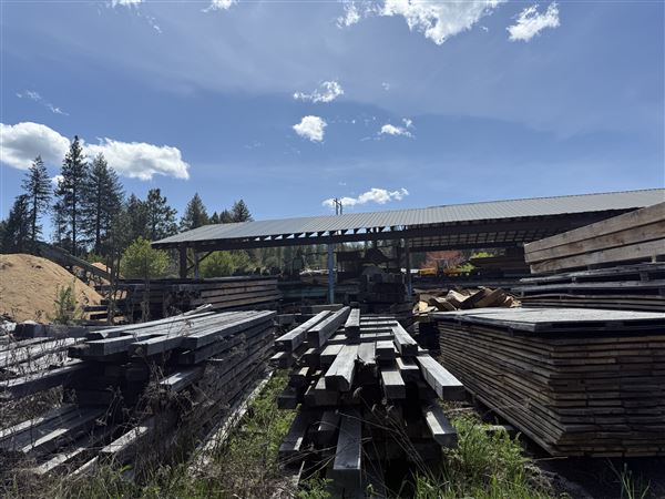 Webley Lumber