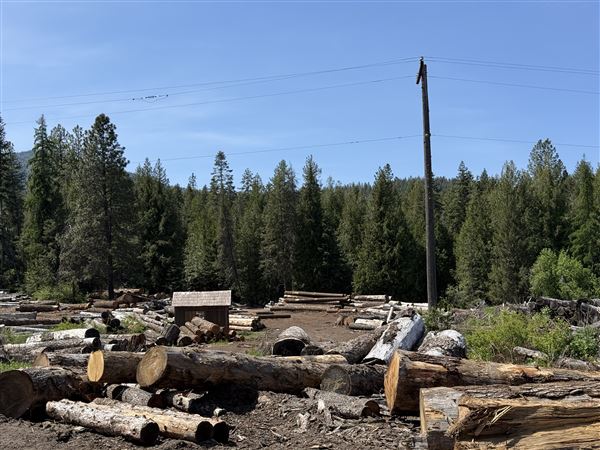 Webley Lumber