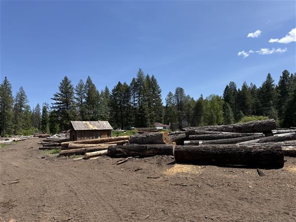 Webley Lumber