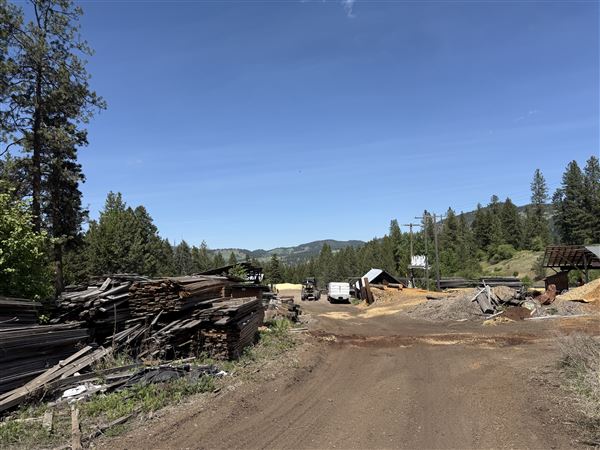 Webley Lumber
